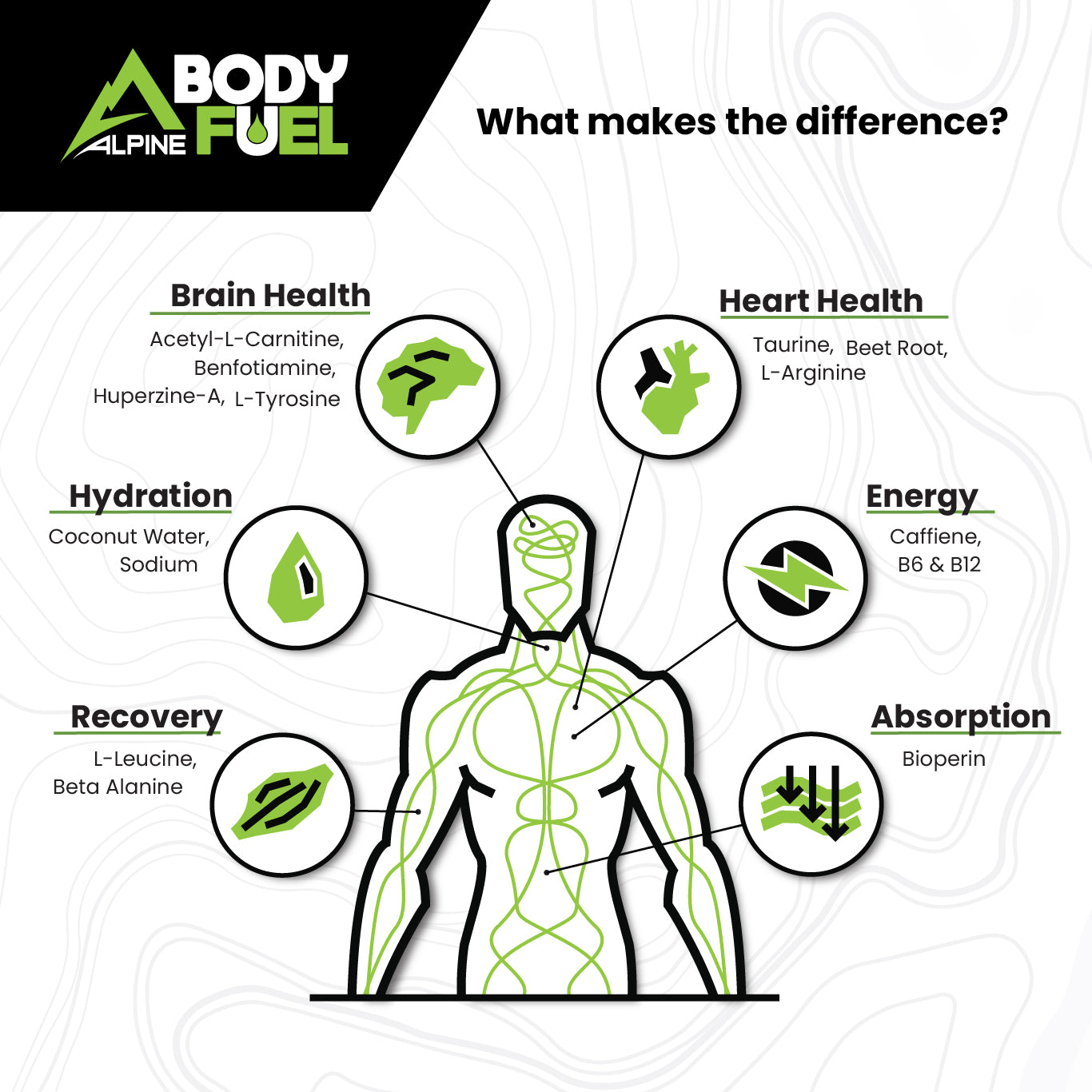 Alpine Body Fuel Sampler 6 Pack