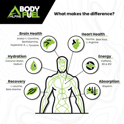 Alpine Body Fuel Sampler 6 Pack
